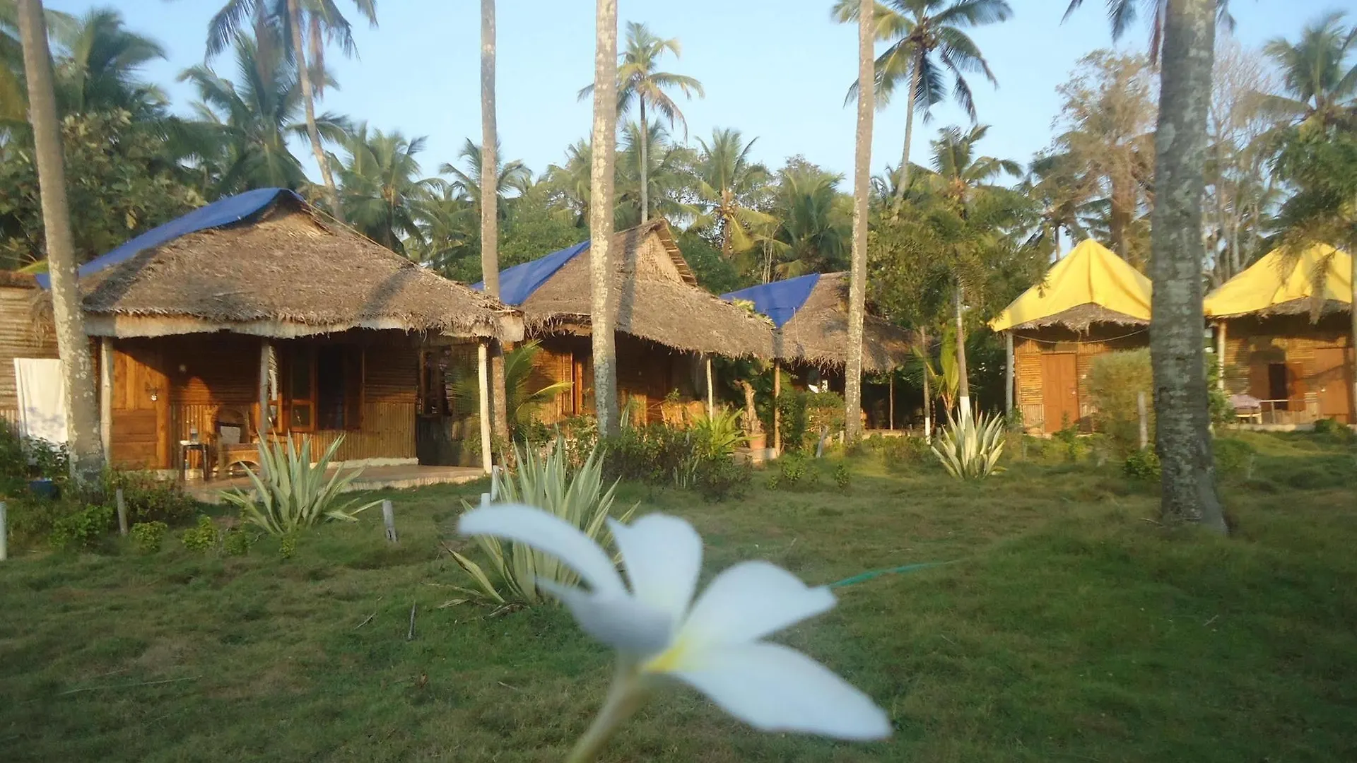 Bamboo Village Varkala 0*,